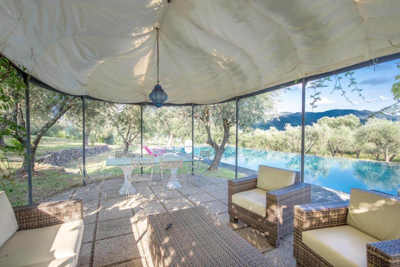 Bed and Breakfast Il Castellaccio à Filettole Extérieur photo